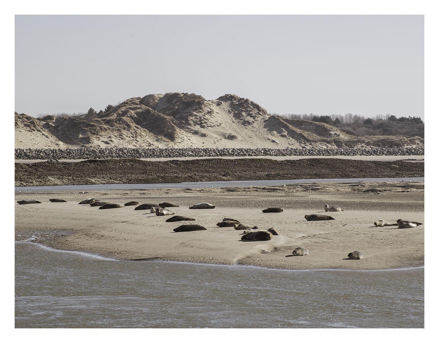 Cottage Proche Du Bord De Mer Et Au Coeur Des Dunes Мерлимон-Плаж Экстерьер фото